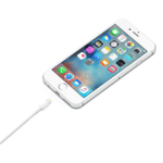 Apple USB-C to Lightning Cable Online - Shyamkrupa Enterprise